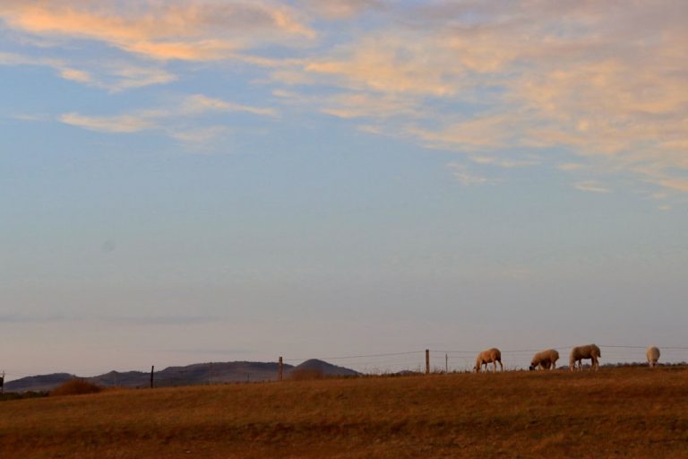 The Art of Slow Travel: Embracing Nature’s Rhythm